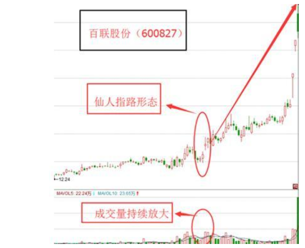 仙人掌股票，沙漠中的逆袭之路
