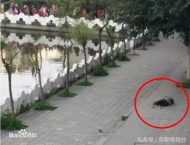 泸州赵鑫死亡事件最新进展，小红书上的最新消息
