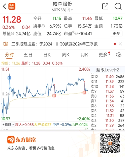 哈慈股份最新动态详解，参与步骤指南与全面了解之窗