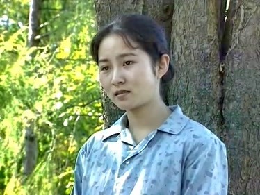 情之债，自然之旅探寻内心宁静的电视剧