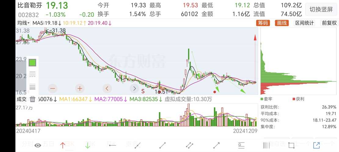 比音勒芬股票行情深度解析与走势预测📉