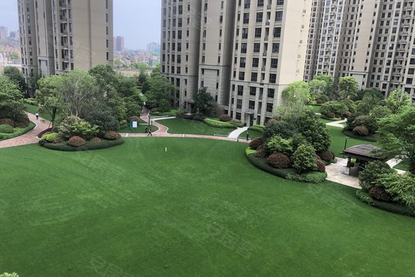 新力象湖湾最新动态更新，最新进展与资讯汇总