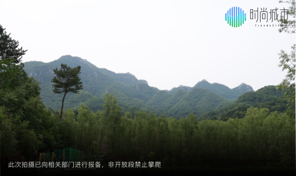 山脚下最新，小巷深处的独特风味美食探索