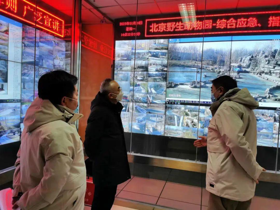 北京最新防控措施深度解读与解析