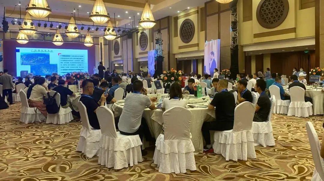 锦艺最新动态揭秘，技能学习与发展任务完成攻略